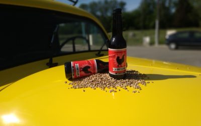La Bressane, une bière artisanale sportive